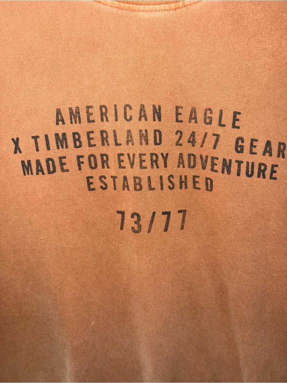 American Eagle X Timberland Collab Brown Short-Sleeve Graphic Tee - Picture 2 of 5
